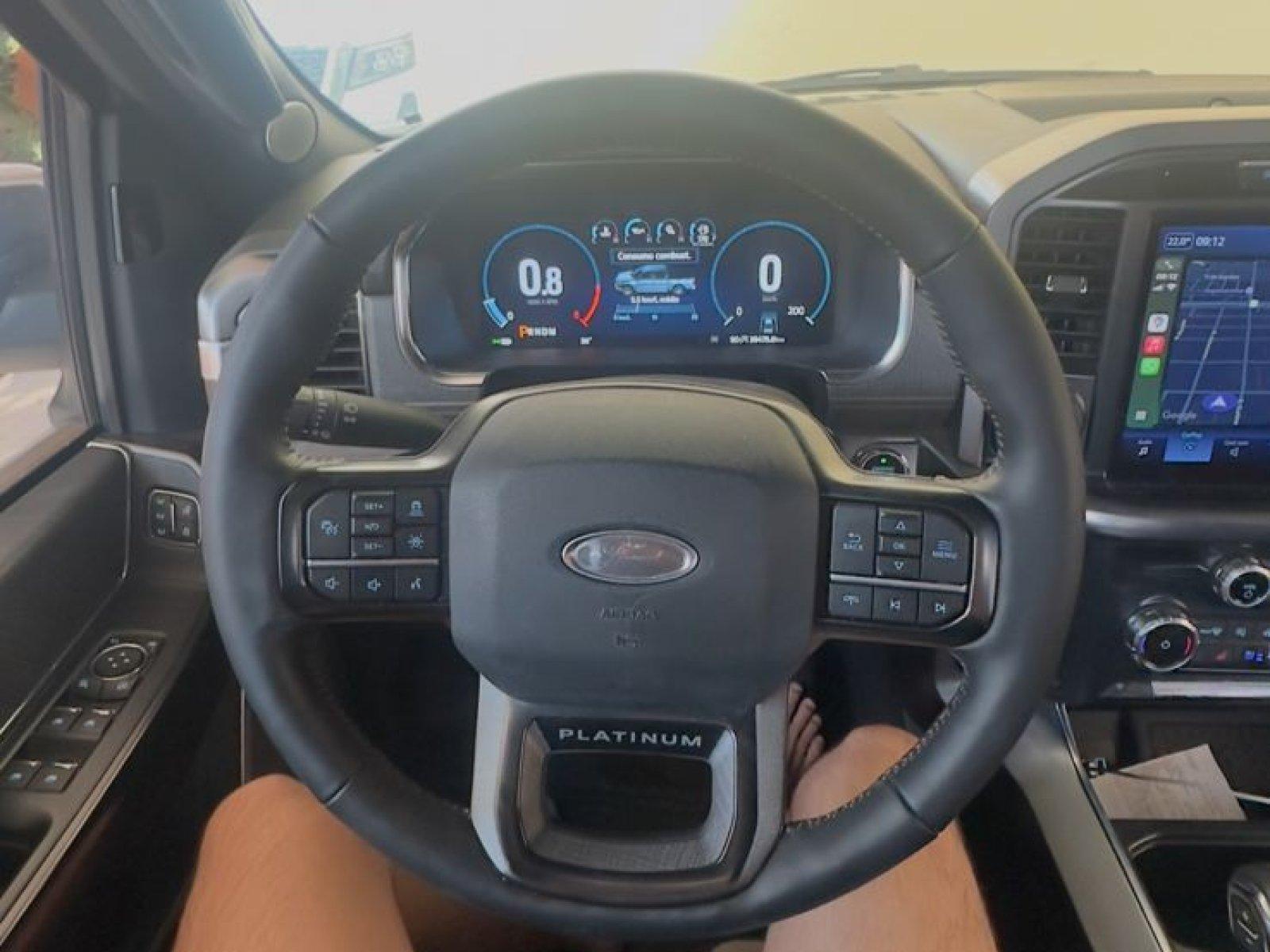 Foto 6 - Ford F150 Platinum 5.0 V8 Gasolina FX4